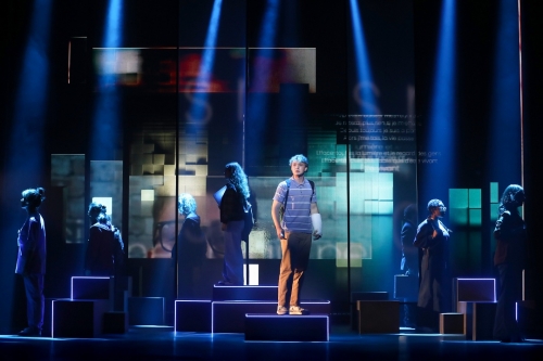 olivier solivÉrÈs,hoshi,frédéric strouck,&nbsp;david sauvage,marazin,kevin barnachea,&nbsp;fanny chelim,armonie coiffard,antoine galey,&nbsp;antoine le provost,michel lerousseau,lou nagy,sandrine seubille,sian ramond,mika apamian,lucas froget-legendre,simon lehuraux,léa rulh,dimitri vassiliu,sébastien mizermont,camille favre-bulle,jules moreau,marine lehuédé,steven levenson,benj pasek,justin paul,cher evan hansen,theatre de la madeleine,cequiestremarquable